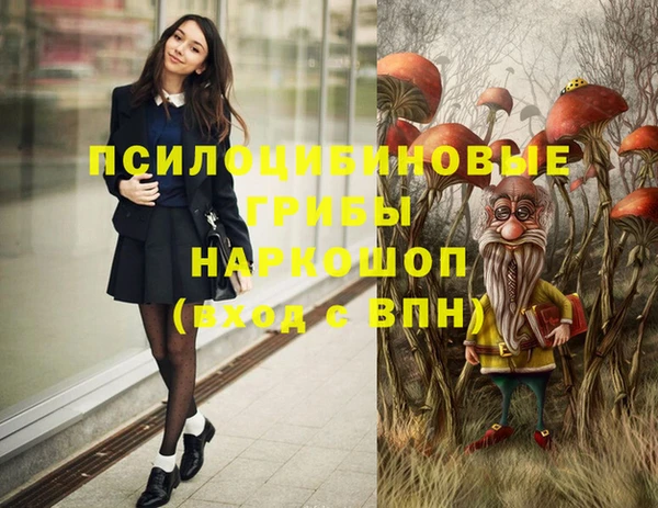 ешки Абинск