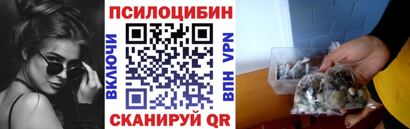 Псилоцибиновые грибы мицелий  дарк нет наркотические препараты  Лебедянь 